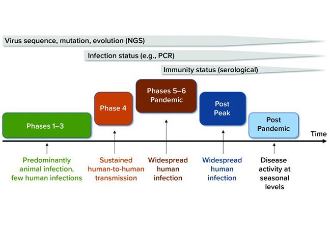 Trends in COVID-19 Diagnostic Test Development